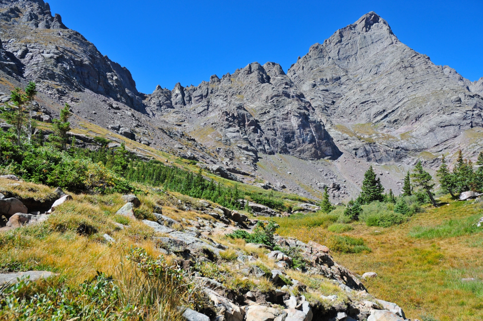 An image depicting the trail Crestone Needle Trail and its surrounding area.