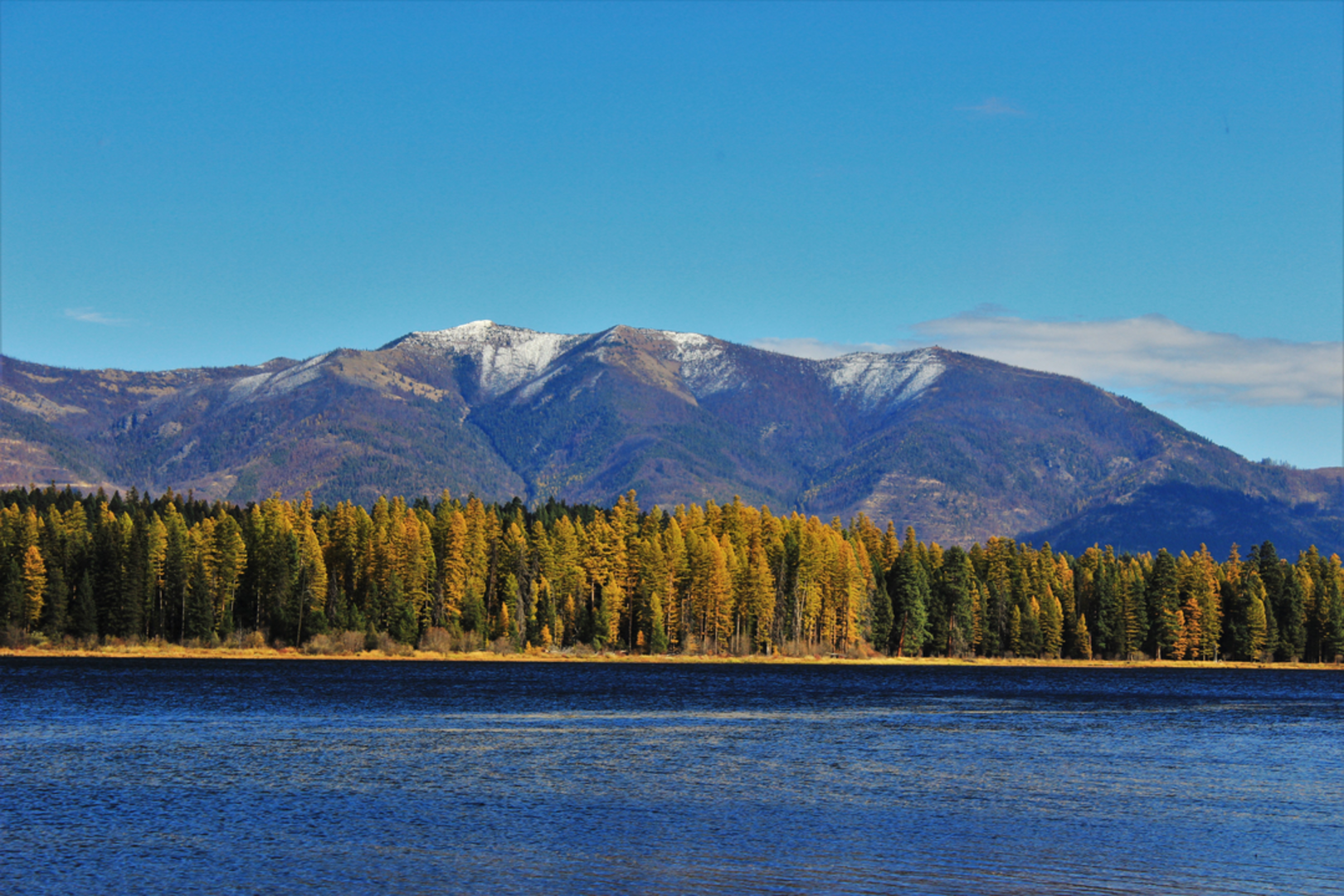 An image depicting the trail Moose Meadows Trail and its surrounding area.