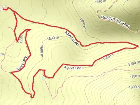 Agave Loop