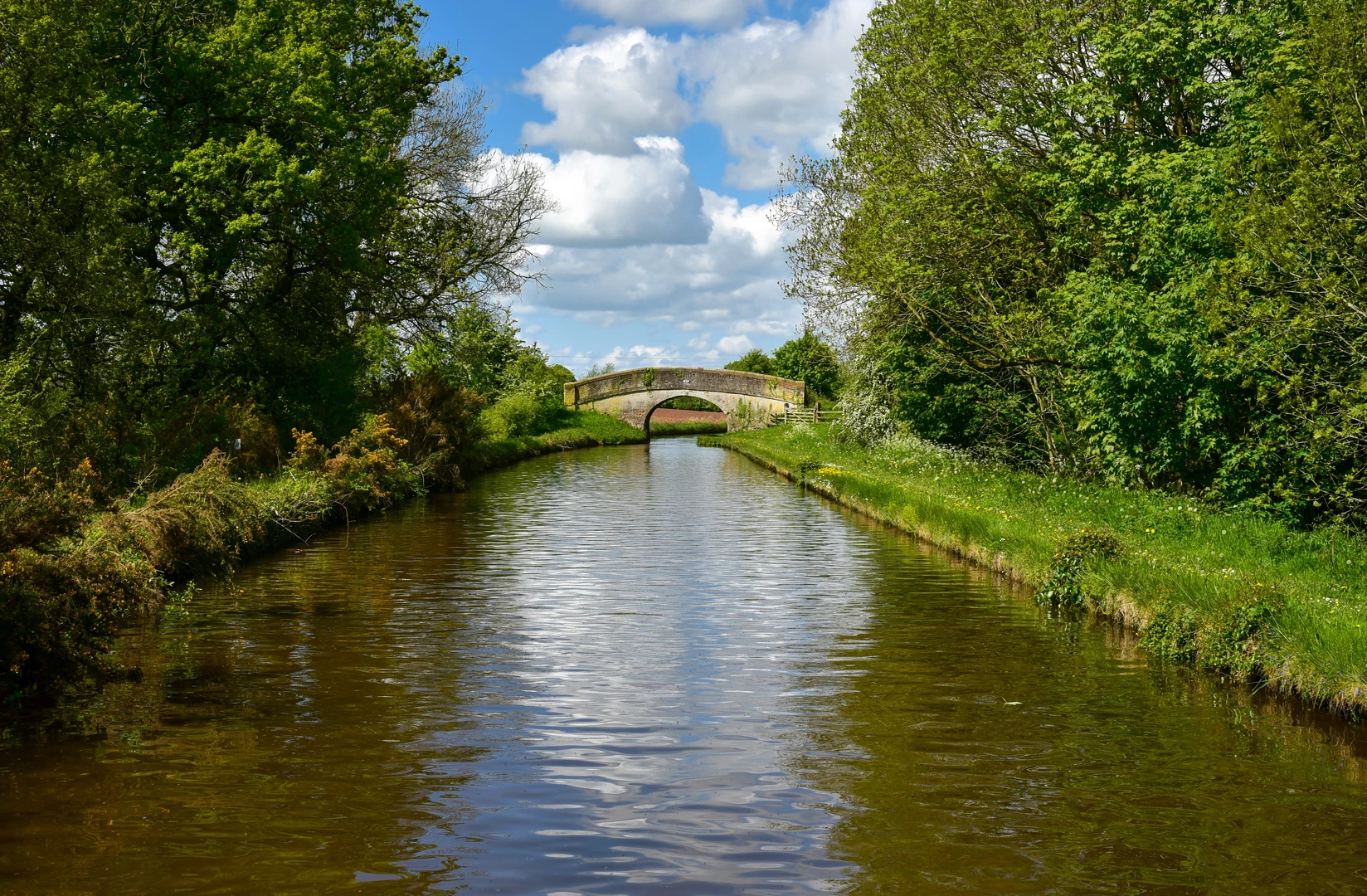 An image depicting the trail Jackson's Bridge, Llangollen Canal, Steer Bridge and Big Mere Loop and its surrounding area.
