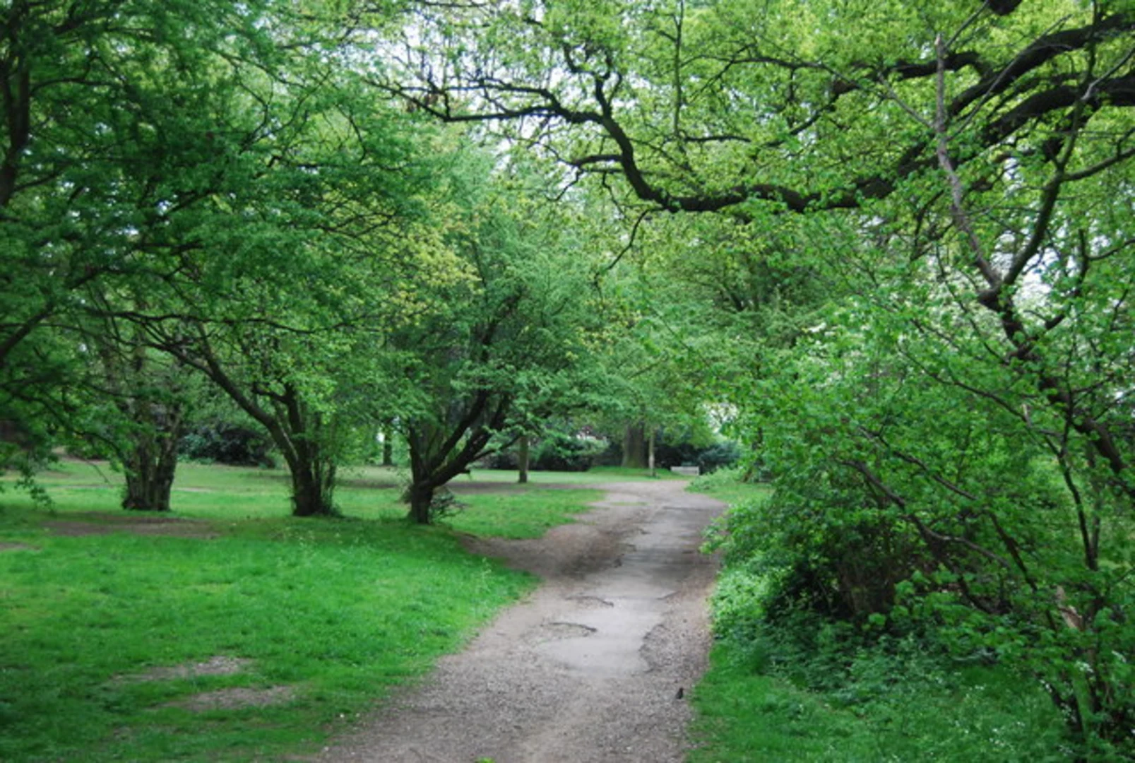 An image depicting the trail Grove Park to Crystal Palace Walk and its surrounding area.