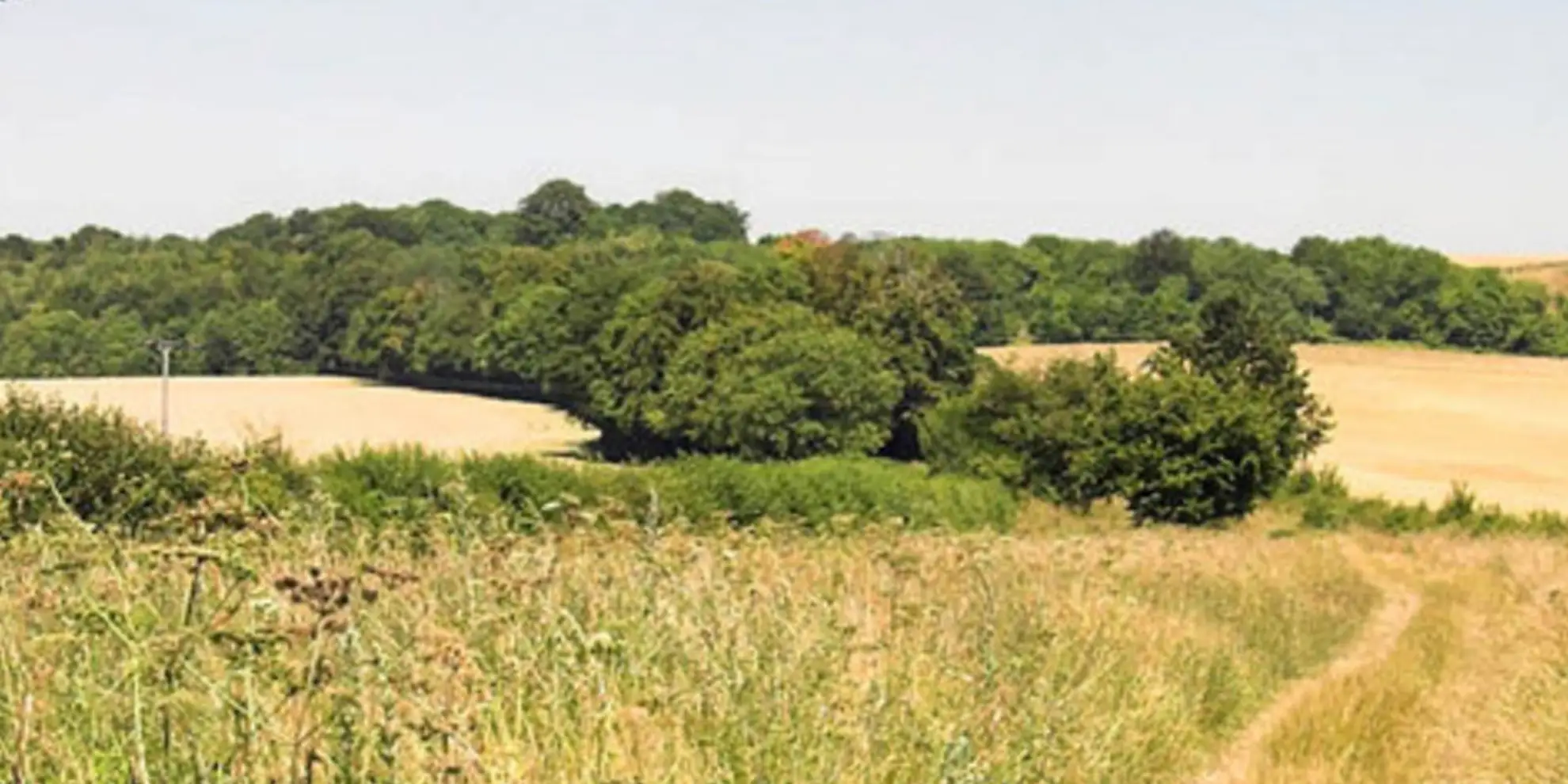 An image depicting the trail Hill Walking from Hexton and its surrounding area.
