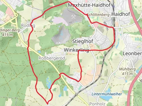 Sauforstrunde Loop