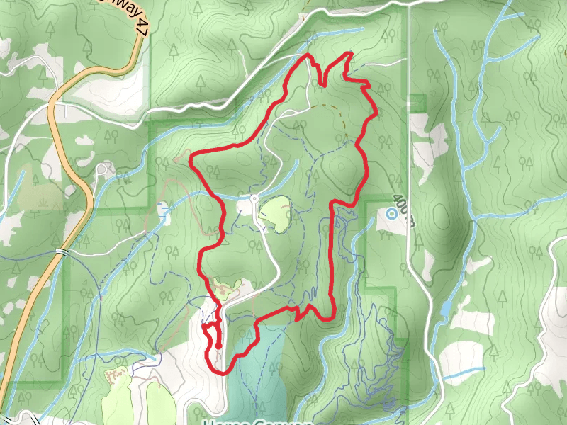 Williams Creek - Mountain Dale Cabin Village Loop