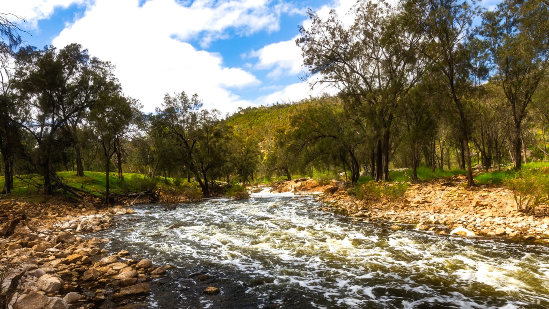 An image depicting the trail Kingfisher Trail and its surrounding area.