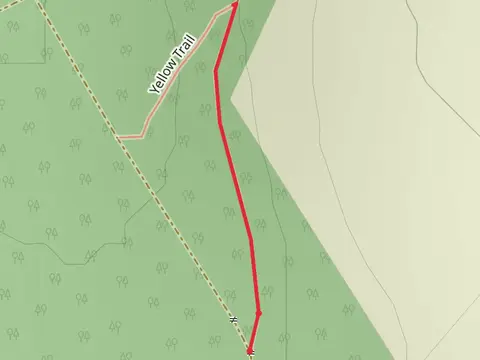 Mullaghmeen Forest Trail