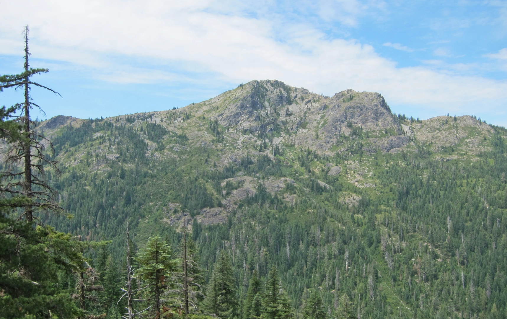 An image depicting the trail Frog Pond - Cameron Meadows Loop Trail and its surrounding area.