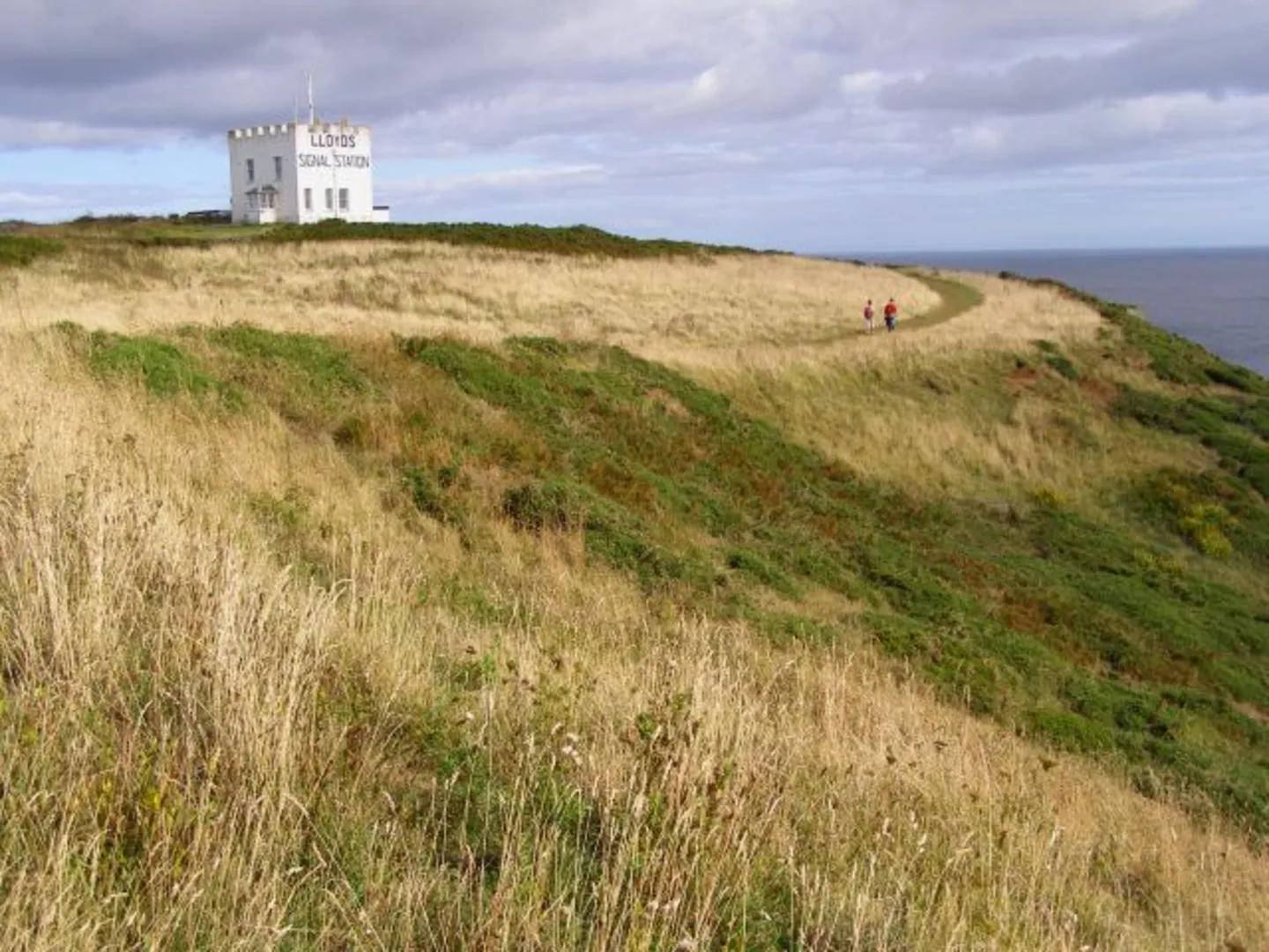 An image depicting the trail Lizard NNR, Bass Point and Chough's Ogo Loop and its surrounding area.