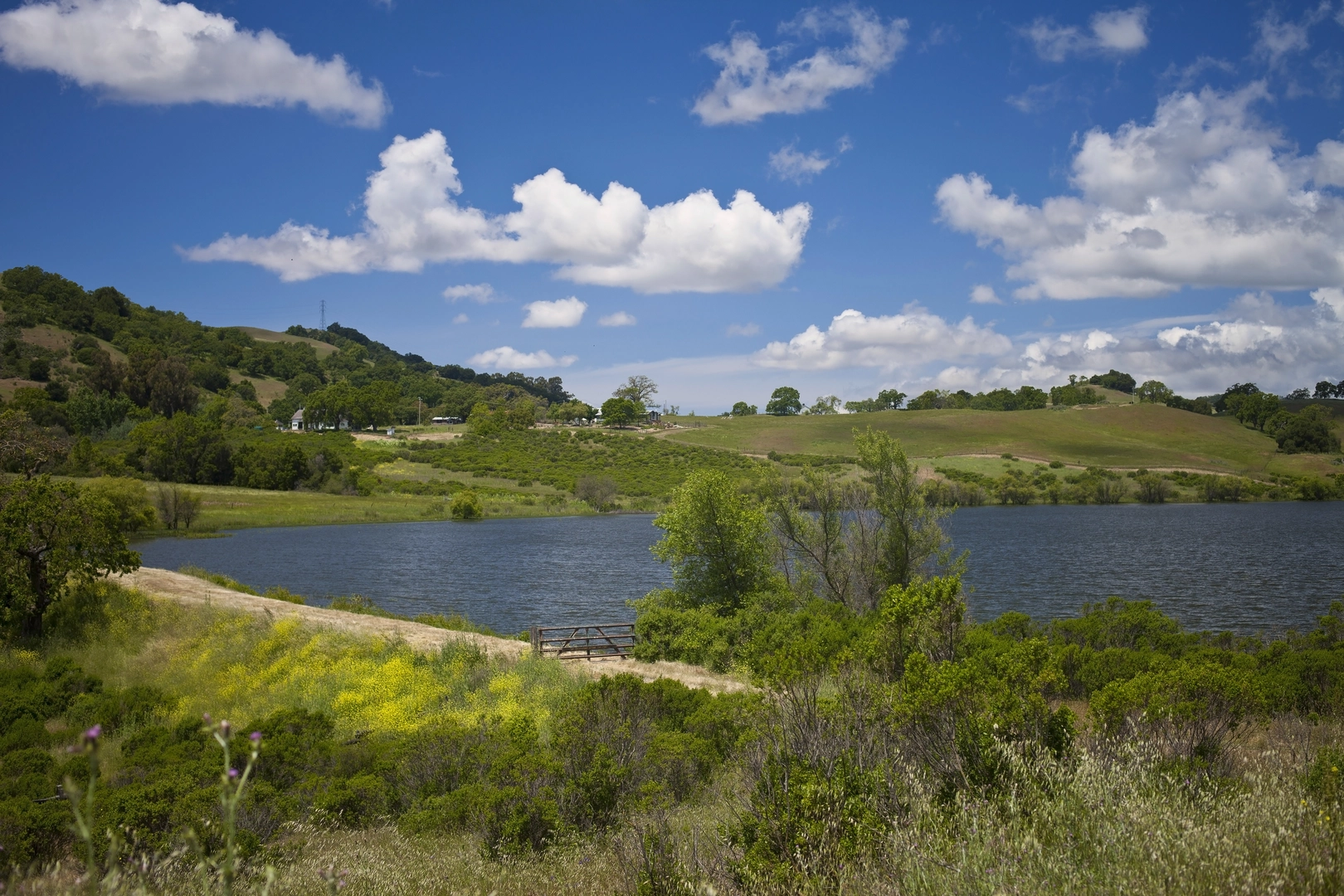 An image depicting the trail Lakeview, McCreery Lake and Yerba Buena Loop Trail and its surrounding area.