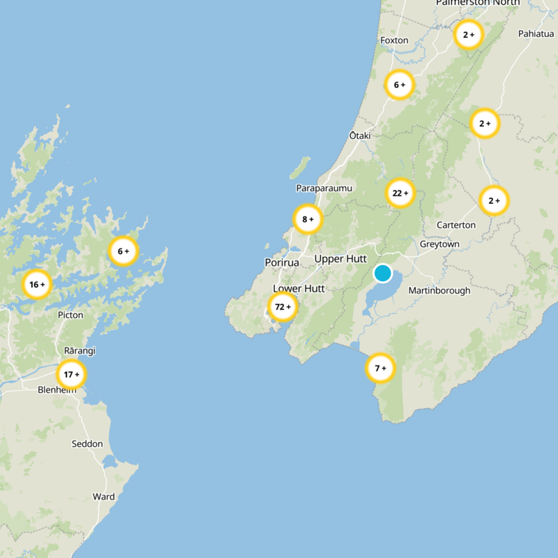 Wellington City Static Map