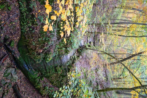 Grassland Loop Trail