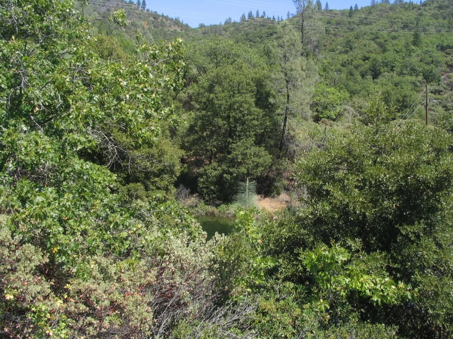 An image depicting the trail Princess Ditch Trail and Mule Ridge Loop and its surrounding area.