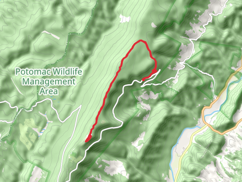 Spruce Knob via Huckleberry Trail