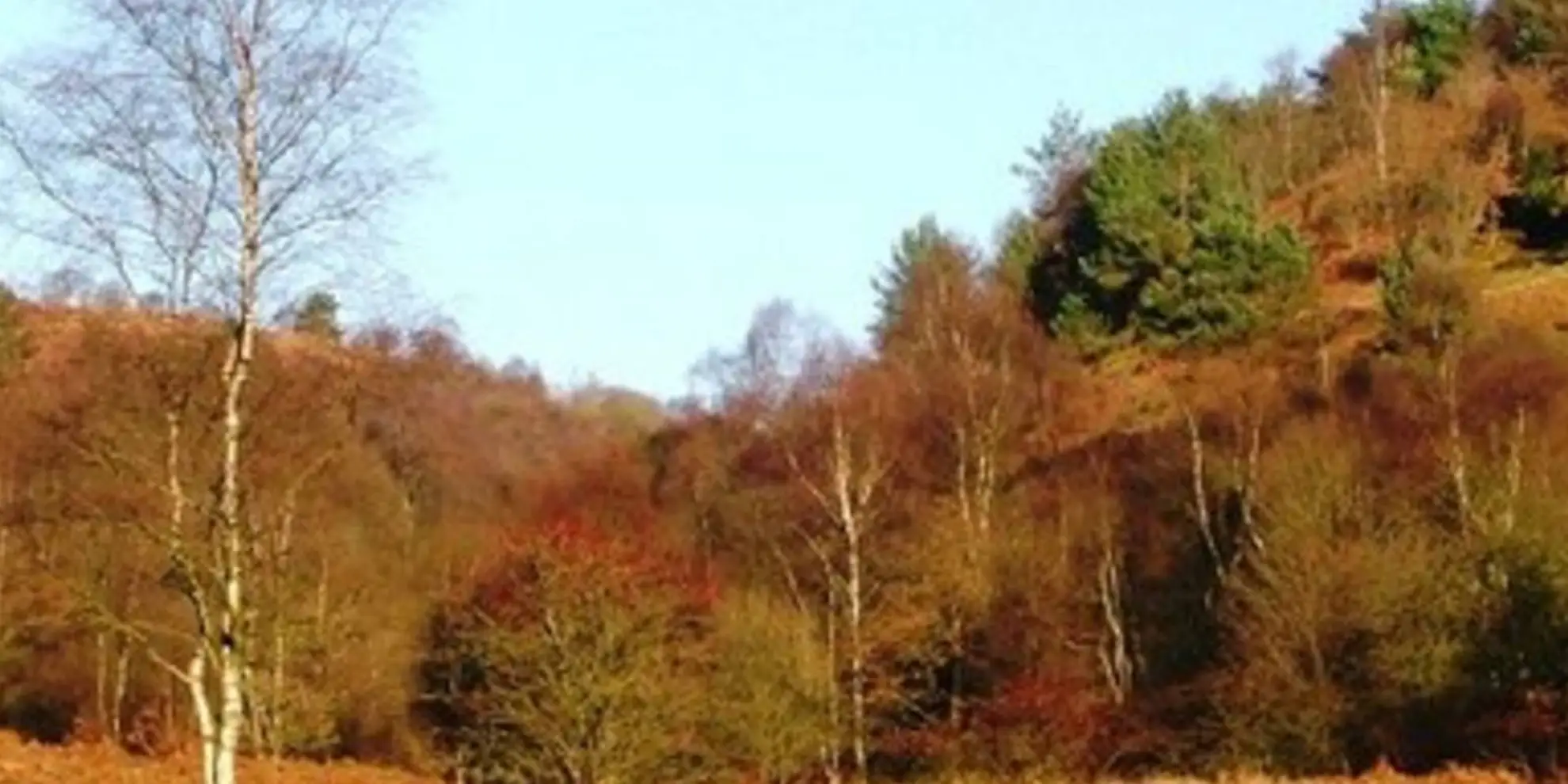 An image depicting the trail Bridestones and Dove Dale Walk and its surrounding area.