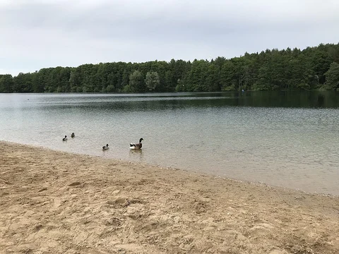Kaarster See Loop