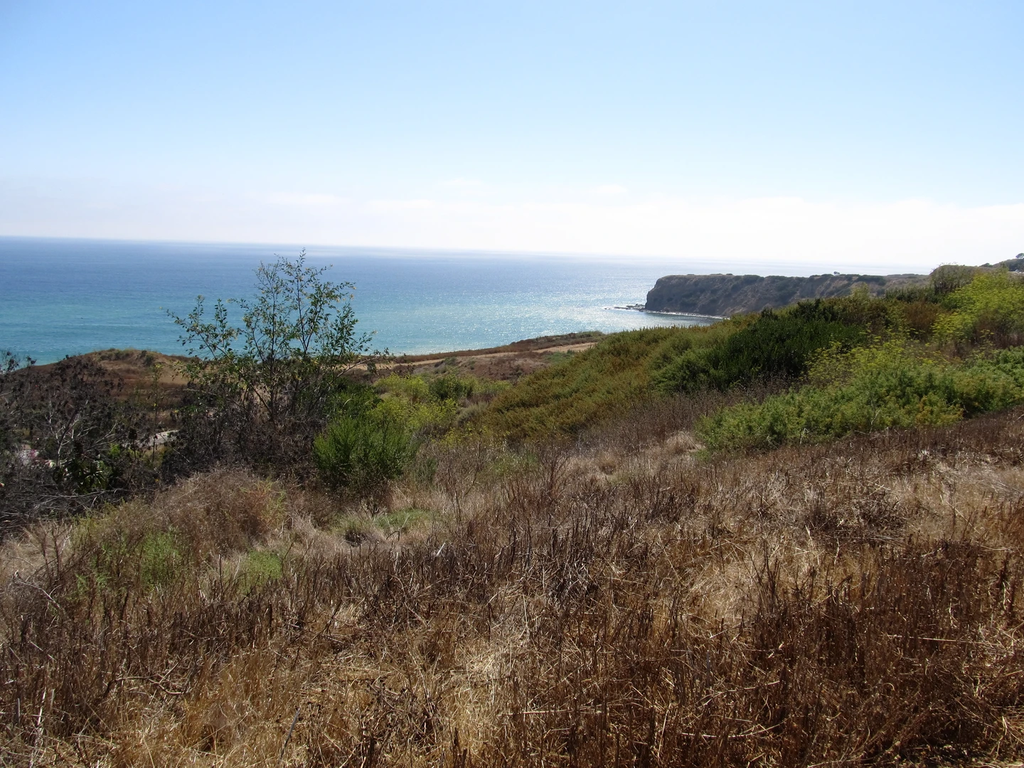 An image depicting the trail Ishibashi - Landslide Scarp - Paintbrush Loop Trail and its surrounding area.