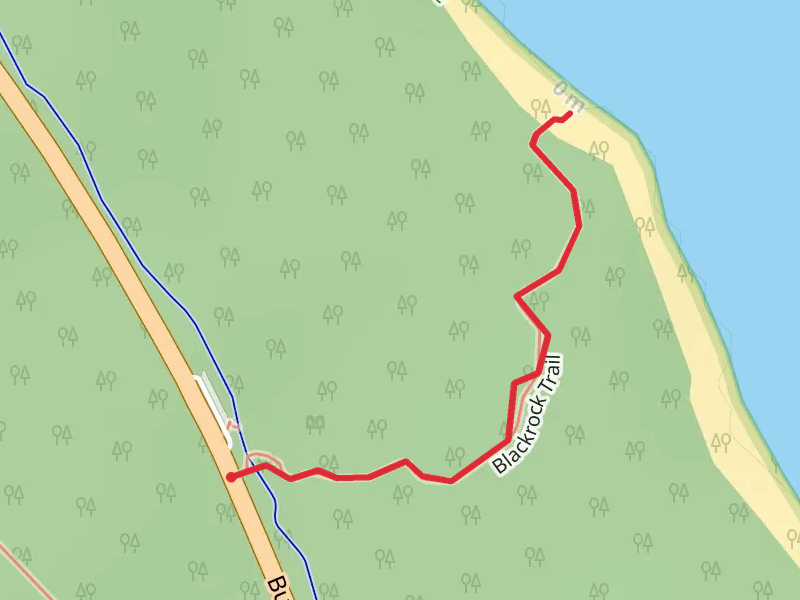Blackrock Trail