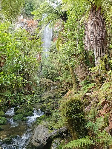 Tupapakurua Falls Track