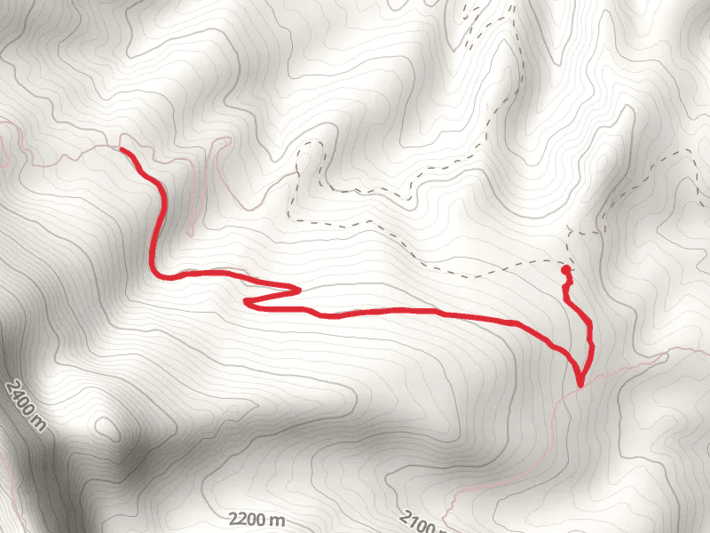 South Fork Brackett Creek Trail