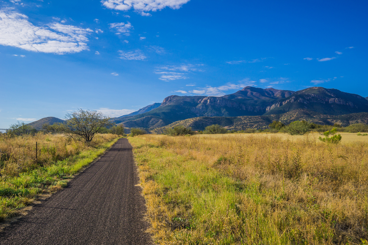 Lyle Canyon Trail
