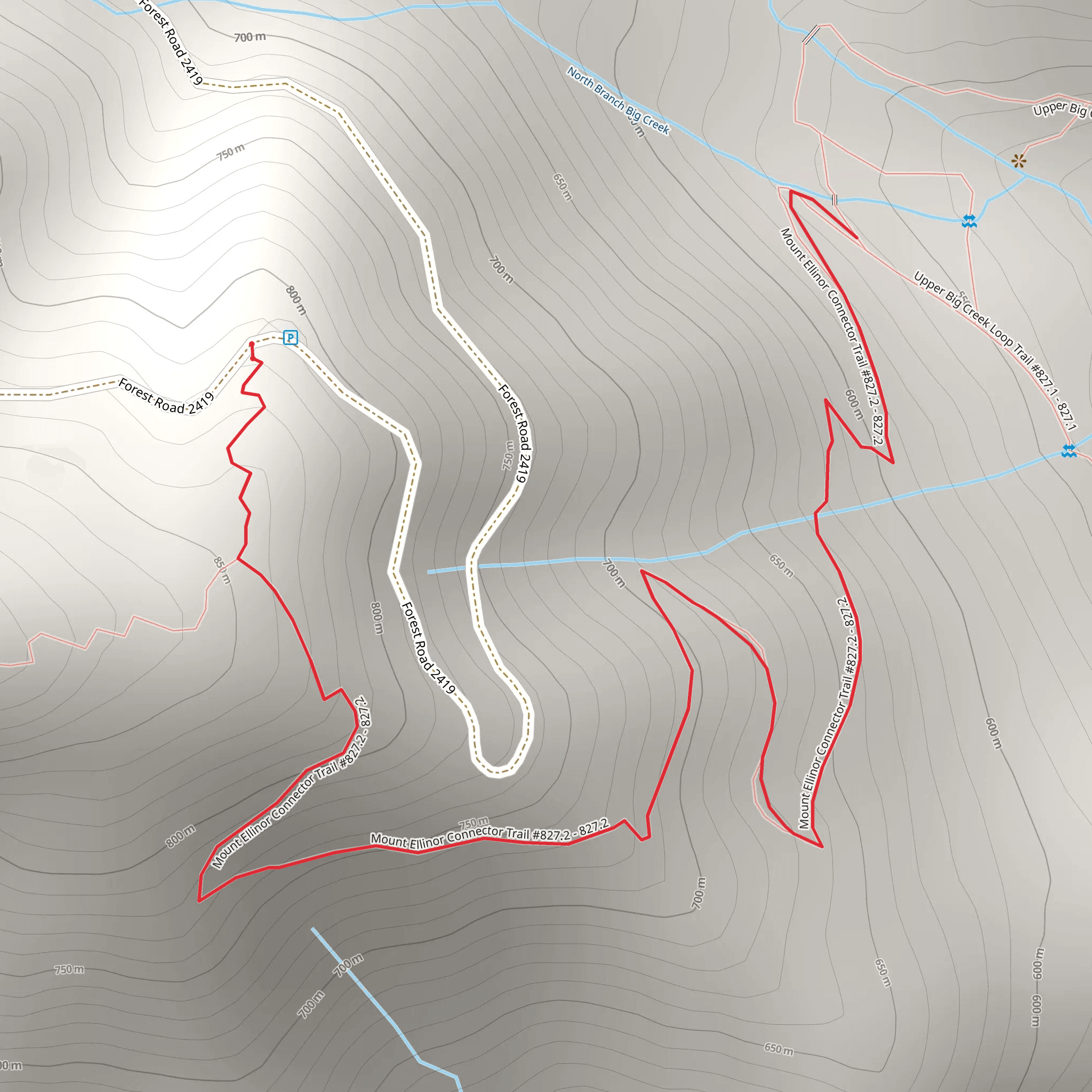 Mt Ellinor Connector Trail mobile static map