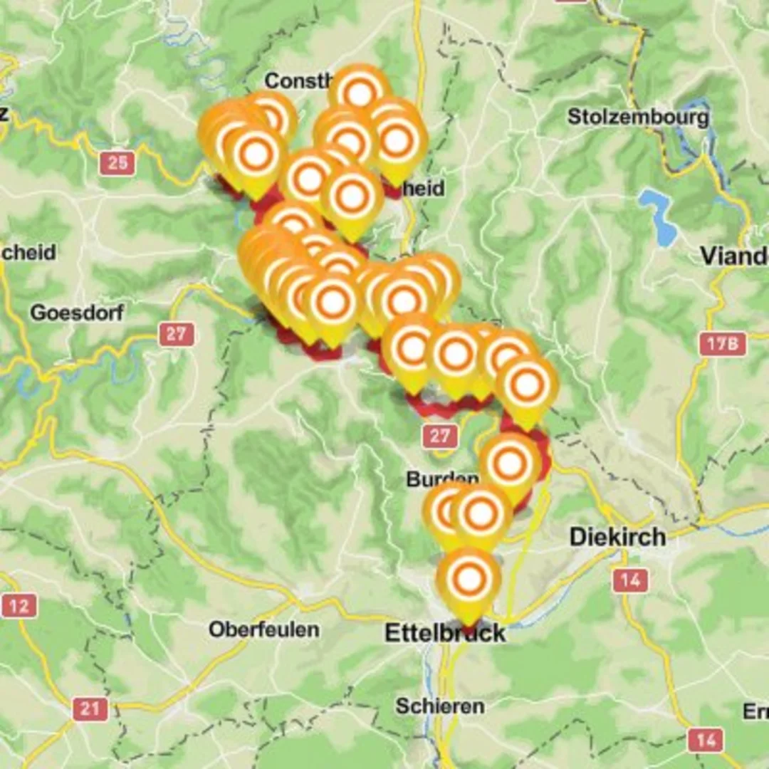 An image depicting the trail Lee Trail ( 52, 5km) parcours officiel and its surrounding area.