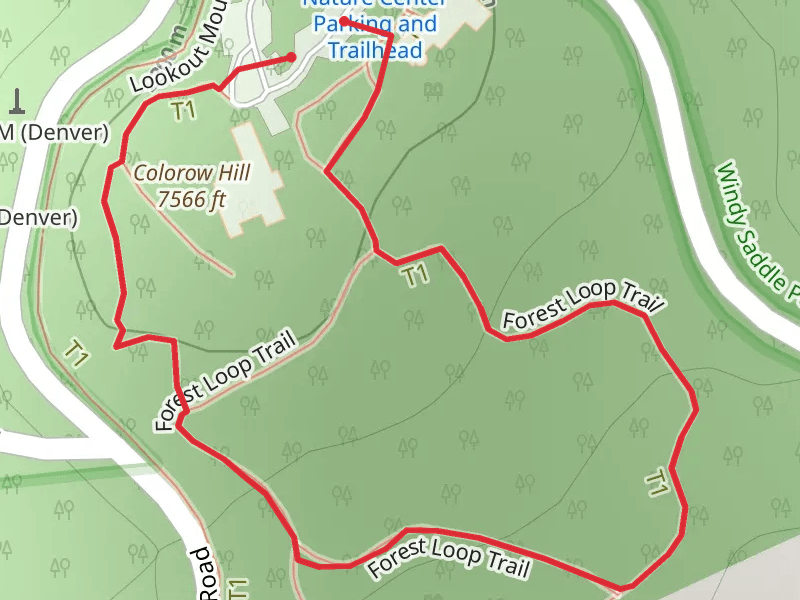 Forest loop Trail