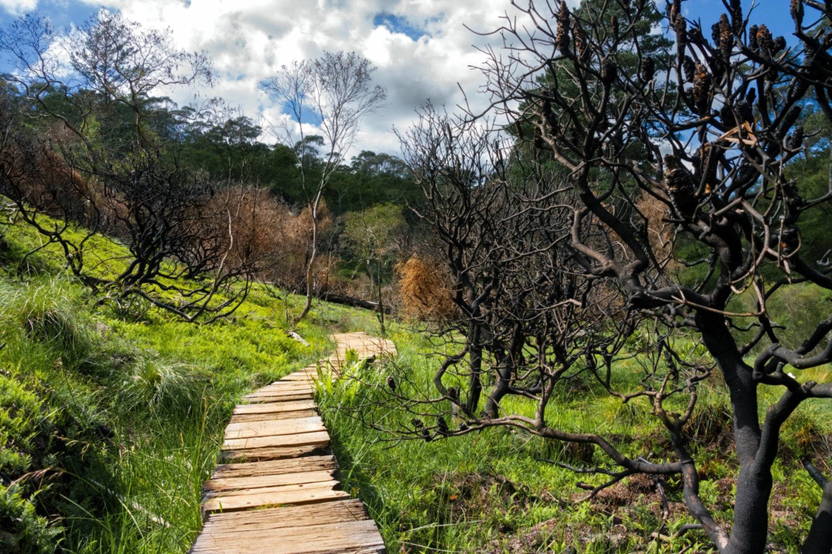 An image depicting the trail Charles Darwin Walk and its surrounding area.