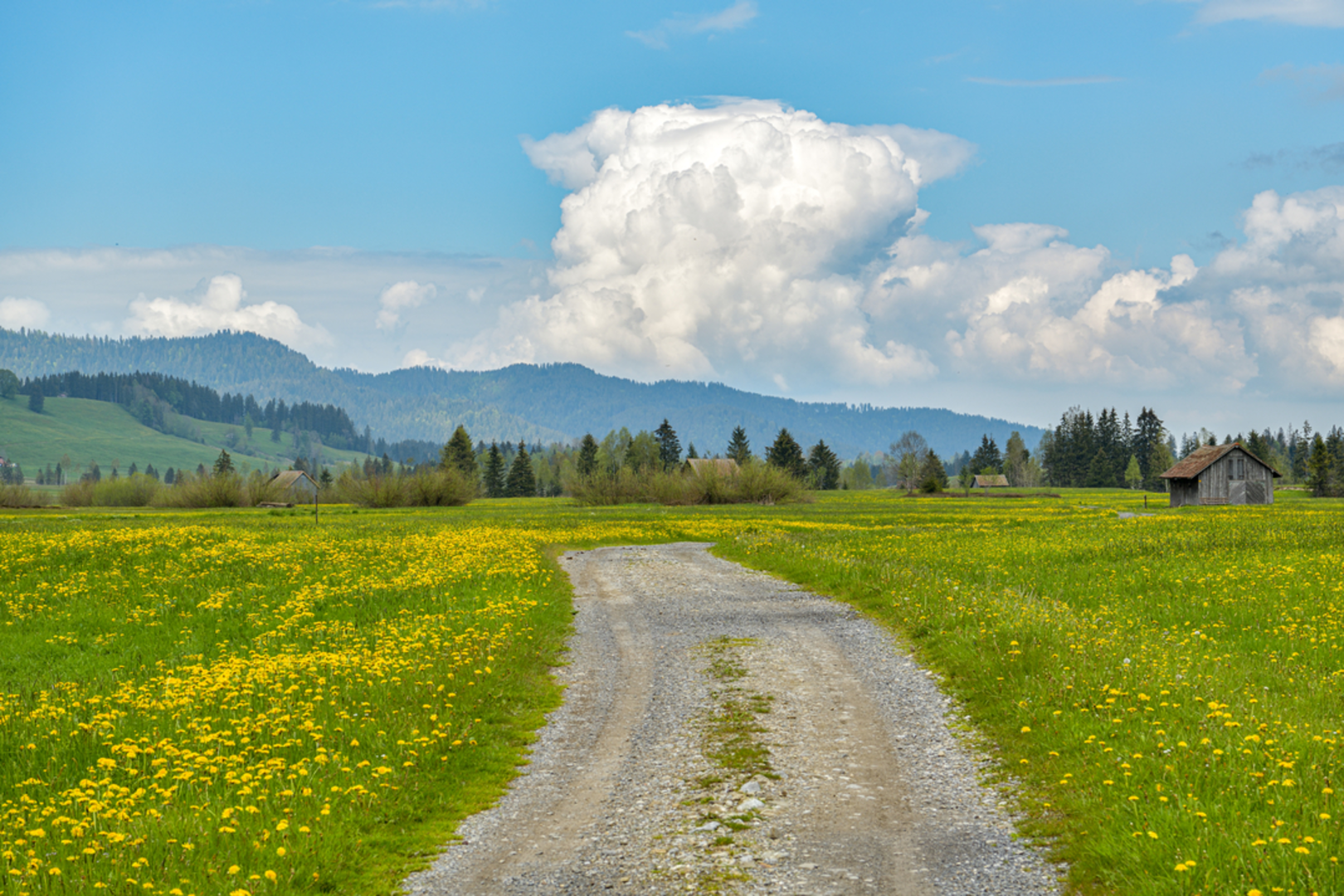 An image depicting the trail Krafthweg Rothenthurm and its surrounding area.
