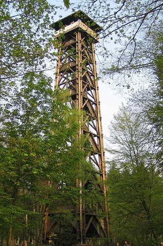 Fuchsplattweg and Sachsenhäuser Landwehrweg Loop