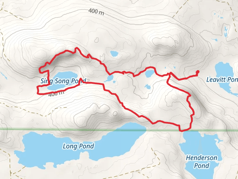 Harding Pond and Great Circle Trail Loop via Leavitt Pond