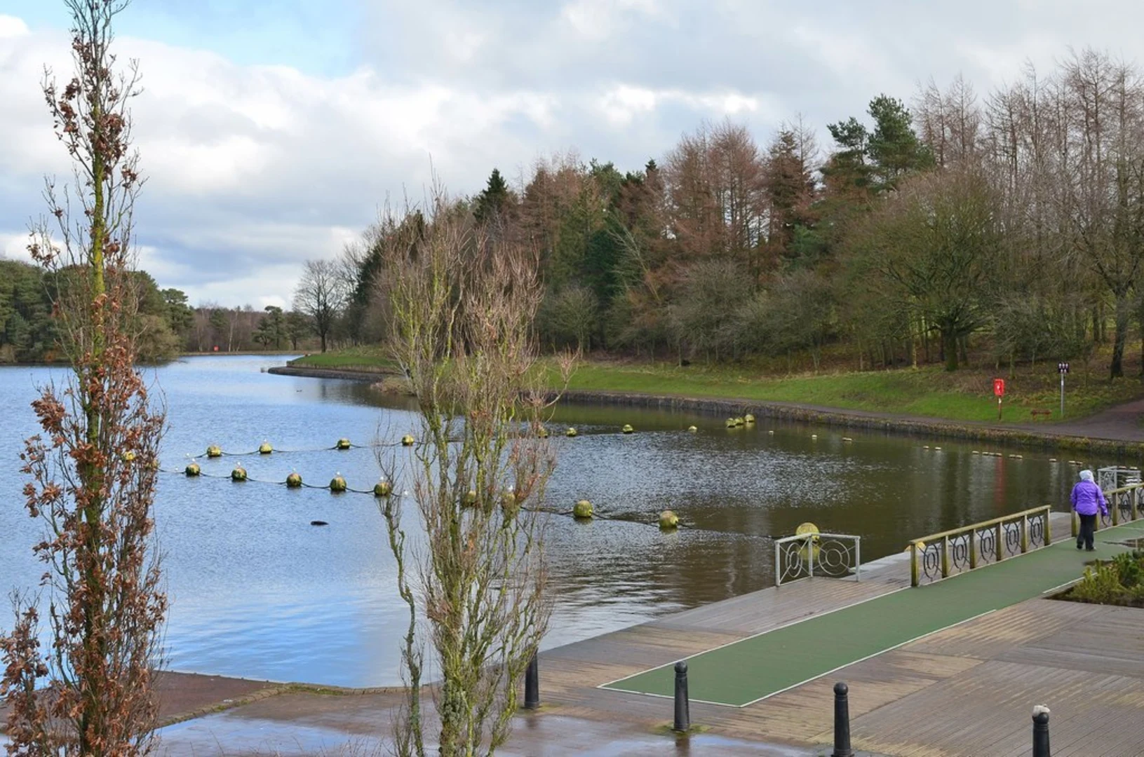 An image depicting the trail Lanark Park Loch Loop and its surrounding area.