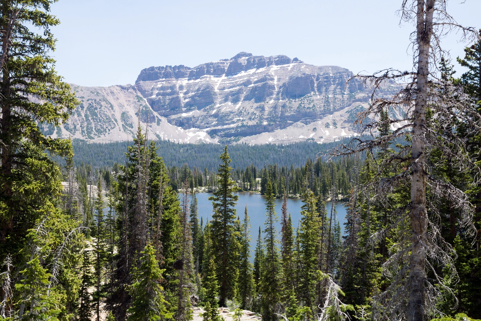 An image depicting the trail Ruth Lake Loop and its surrounding area.