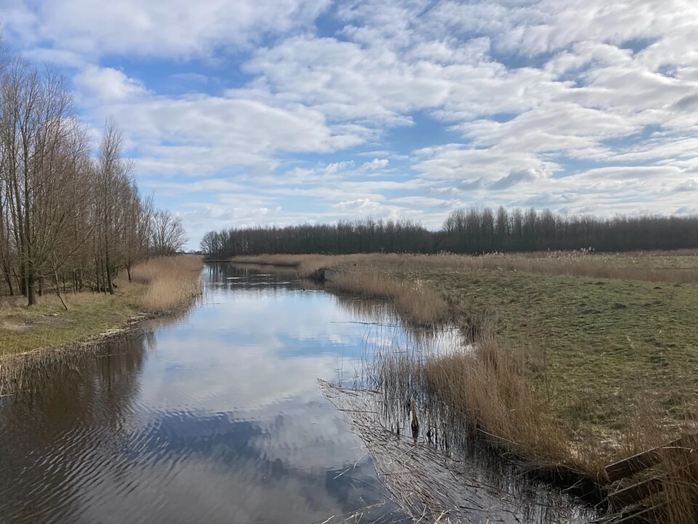 An image depicting the trail Kardinge via Stads Weg, Kinderrechtenpad, Elema's Pad and its surrounding area.