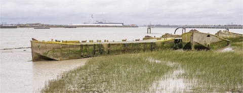 Rainham Marshes