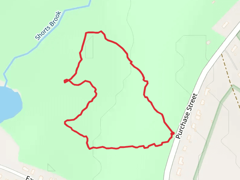 Shorts Brook Loop