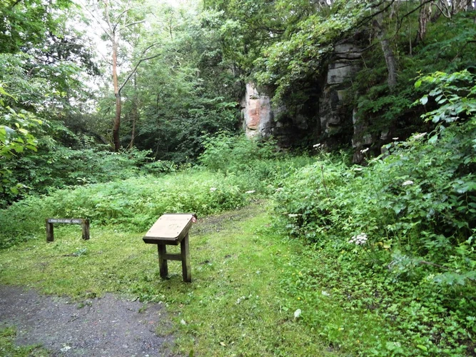 Causey Loop
