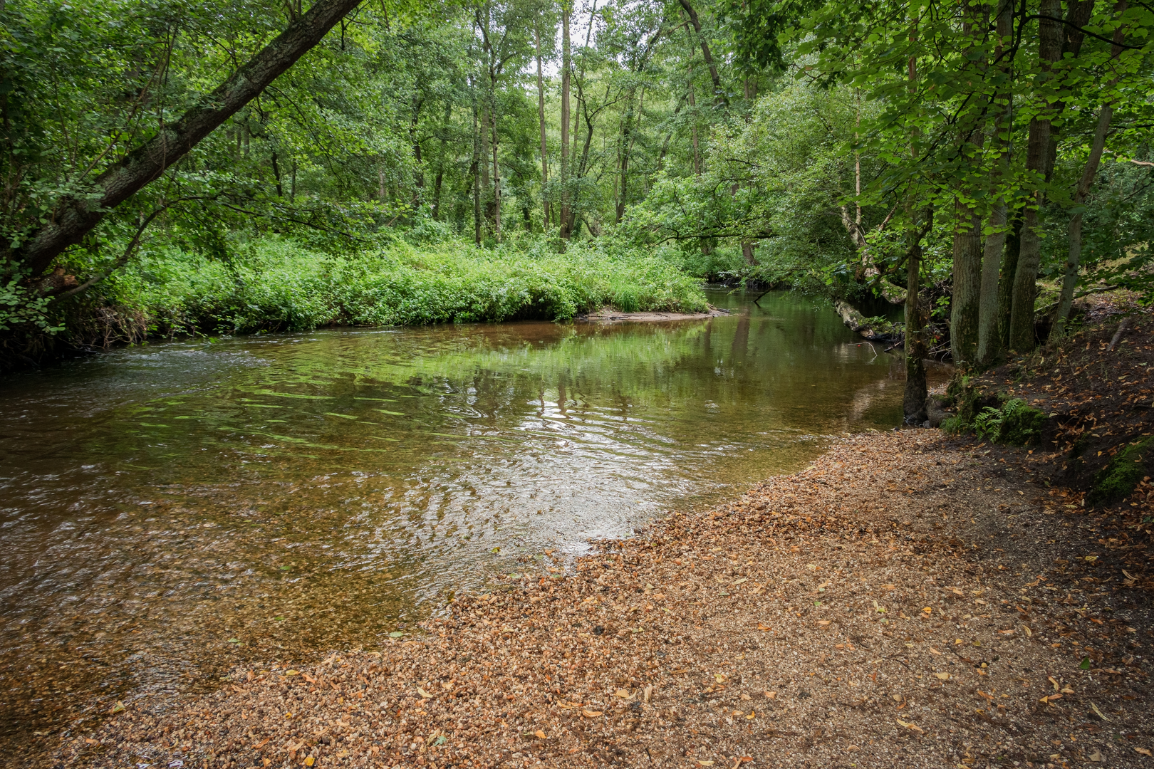 An image depicting the trail Asseltse Plassen via Schroefstraat and Elfmorgen Weg and its surrounding area.