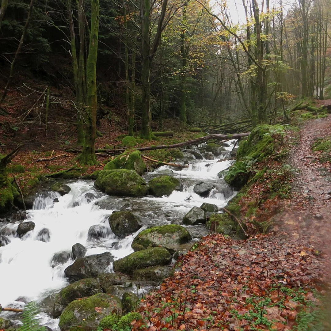 An image depicting the trail Lord's Seat Out and Back and its surrounding area.