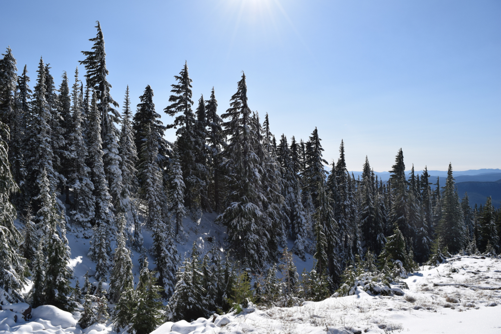 An image depicting the trail Lucy's Trail and its surrounding area.