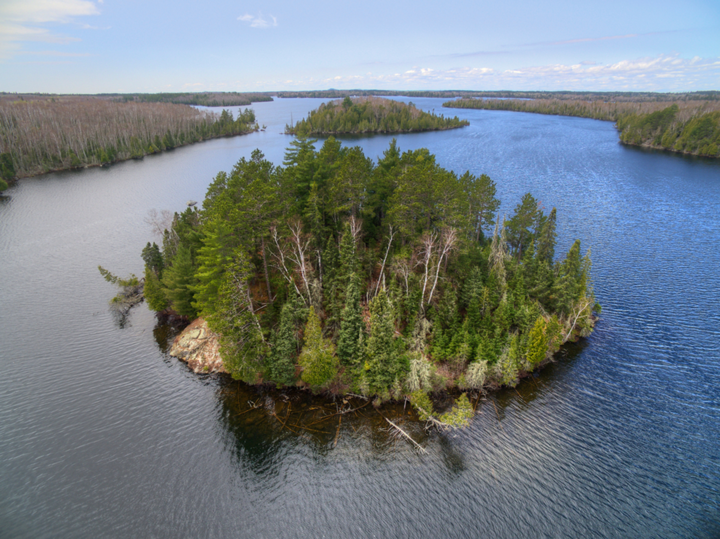 An image depicting the trail Bear Head Lake State Park Hiking Club Trail Loop and its surrounding area.