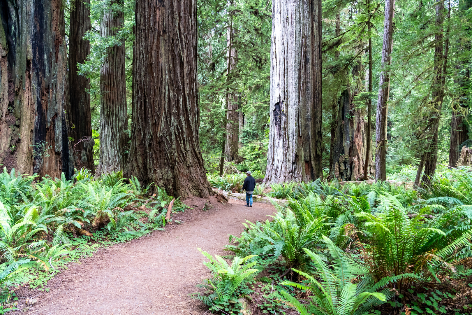An image depicting the trail Brown Creek Trail and its surrounding area.