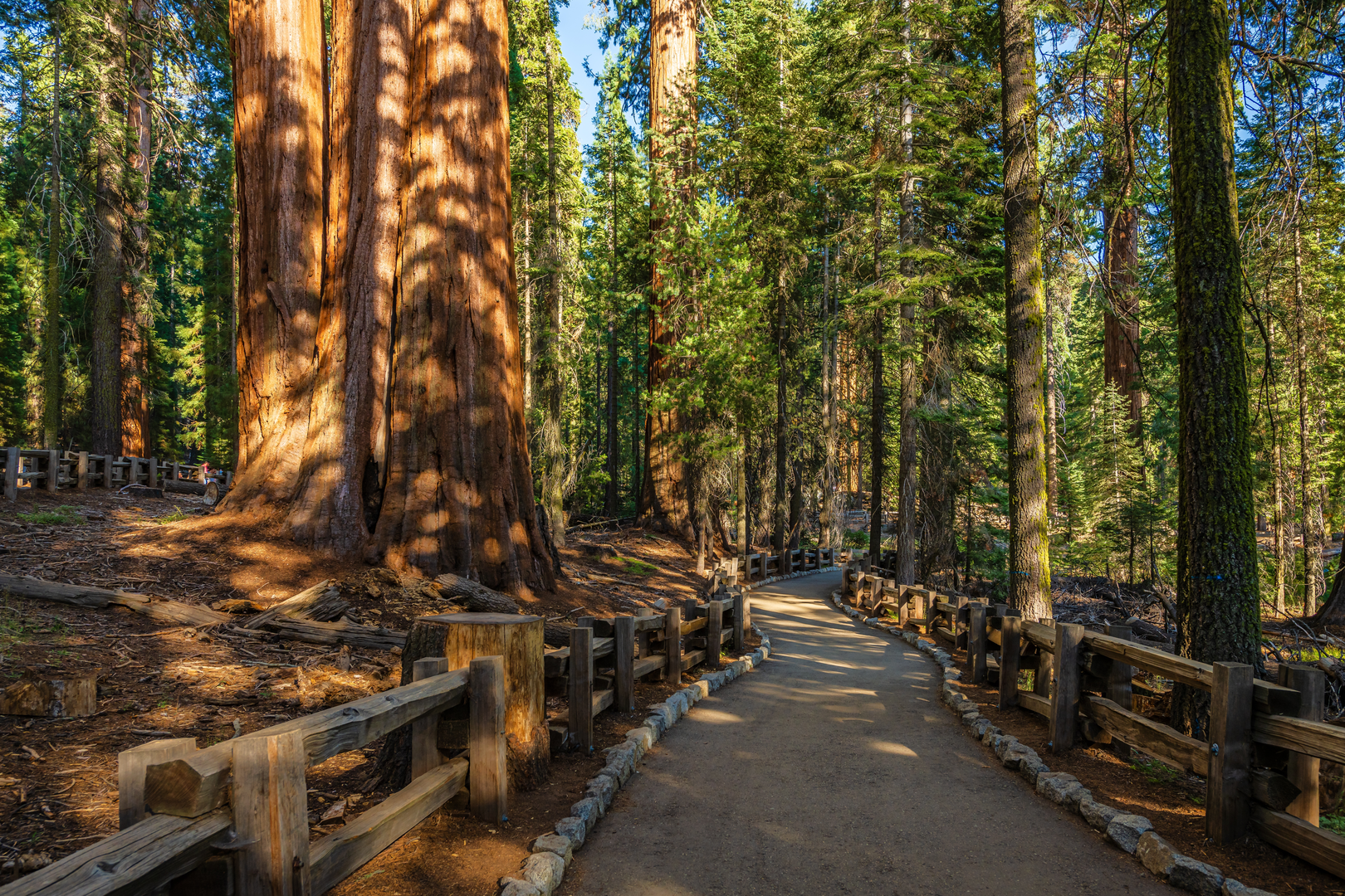An image depicting the trail Sugar Bowl Trail and Redwood Canyon Trail Loop and its surrounding area.