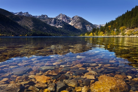 Tamarack Trail