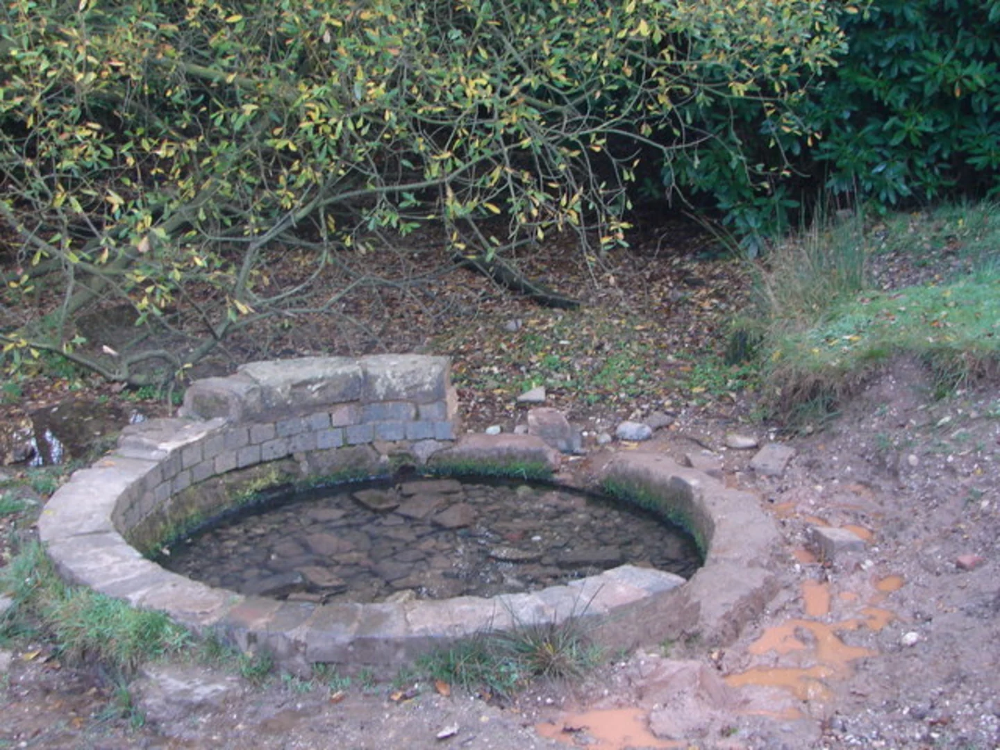 An image depicting the trail Sutton Park, Keepers Pool Loop and its surrounding area.