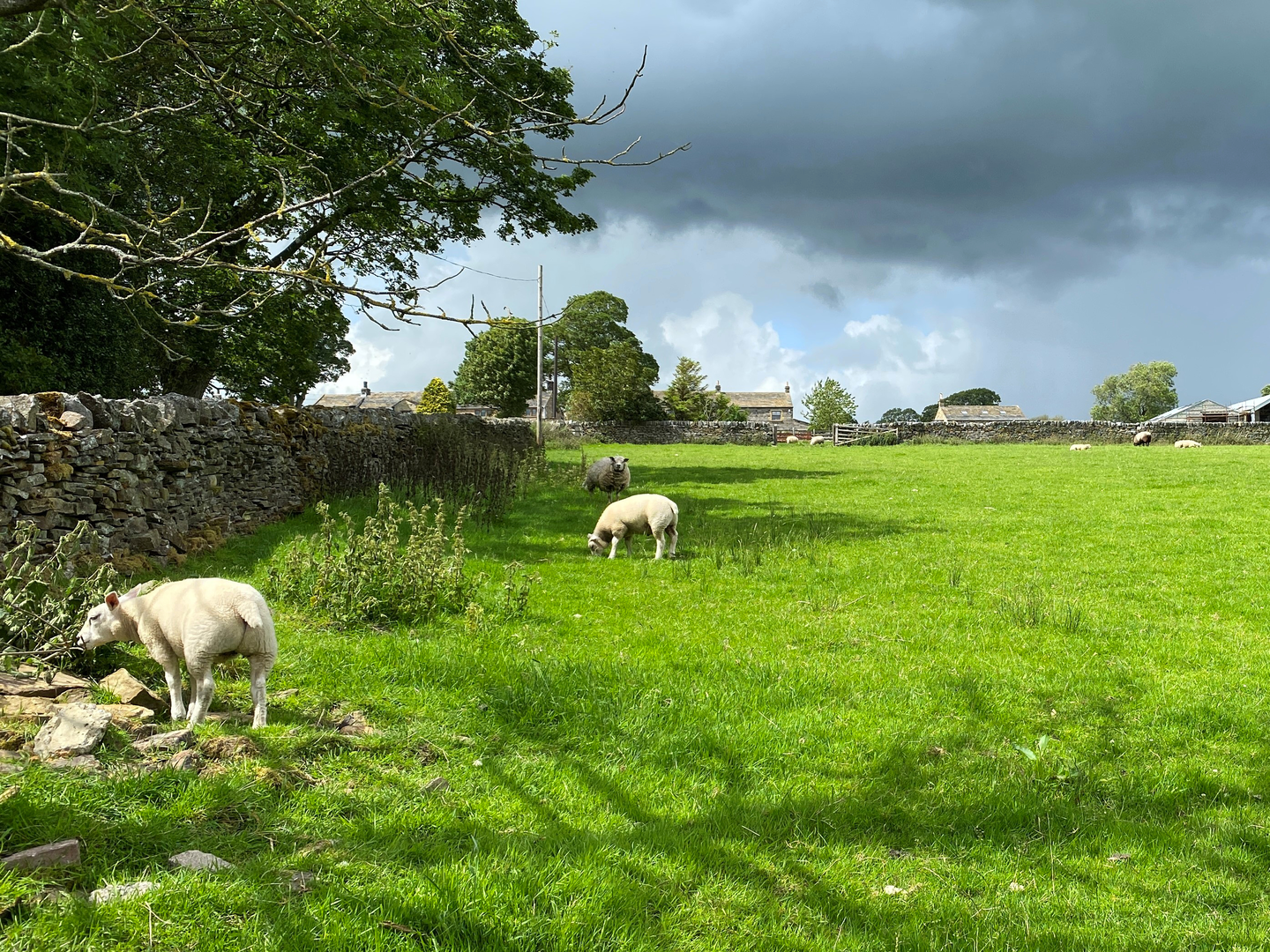 Farnhill Moor from Kildwick | North Yorkshire | England