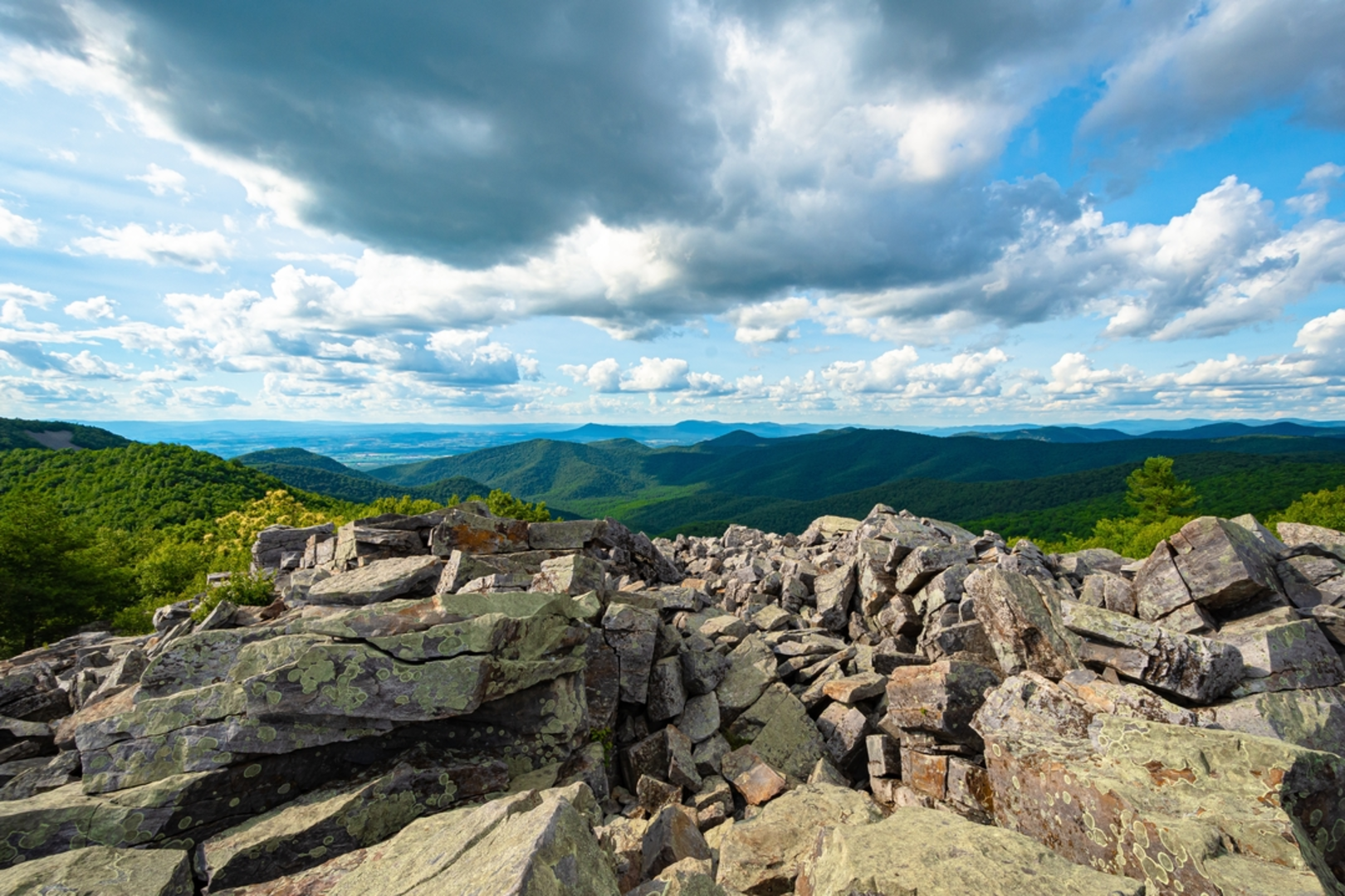 An image depicting the trail Blackrock Hut via Trayfoot Mountain Trail and its surrounding area.