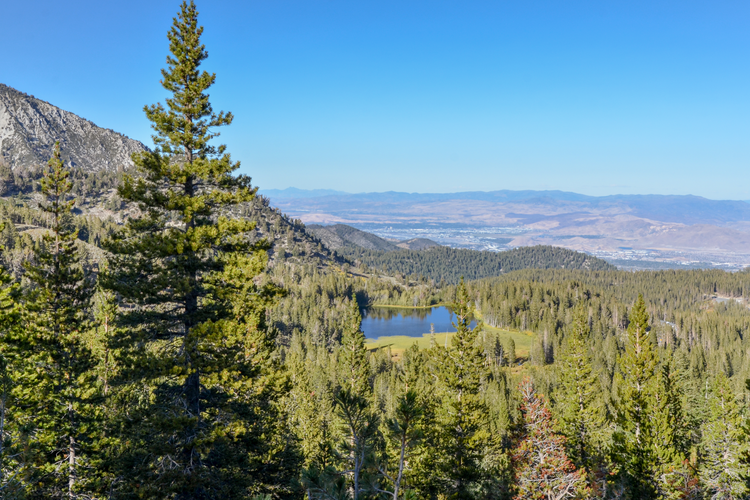 Tamarack Connection and Water System Road