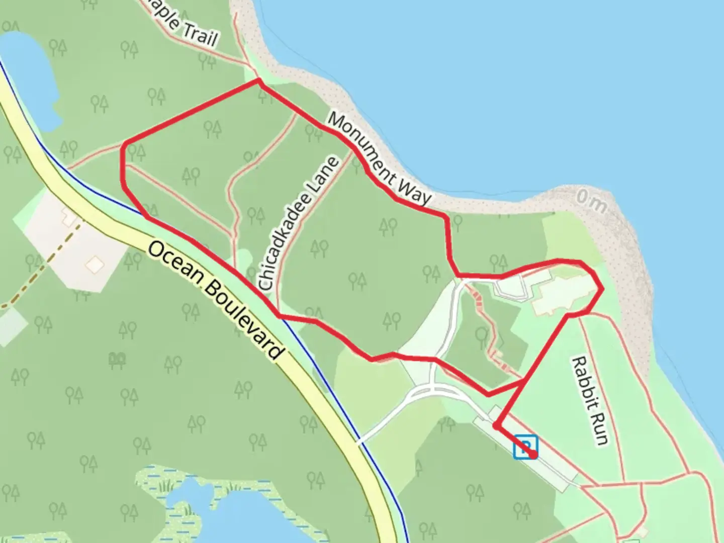 An image depicting the trail Piscataqua River in Odiorne Point State Park and its surrounding area.
