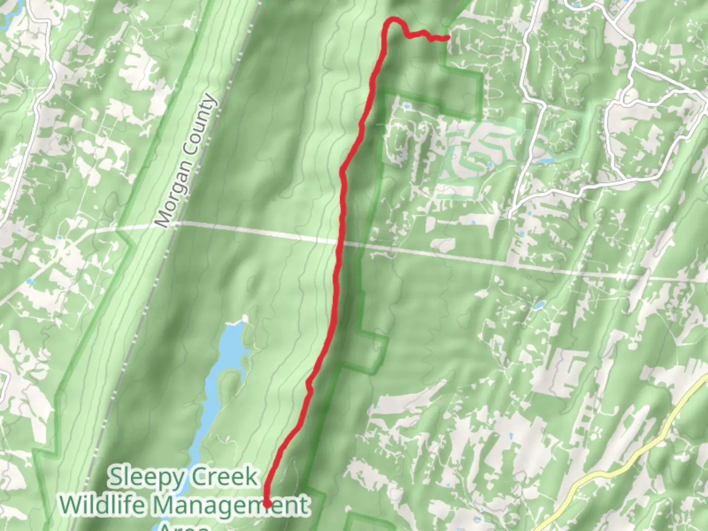 An image depicting the trail Third Hill Mountain Trail and its surrounding area.